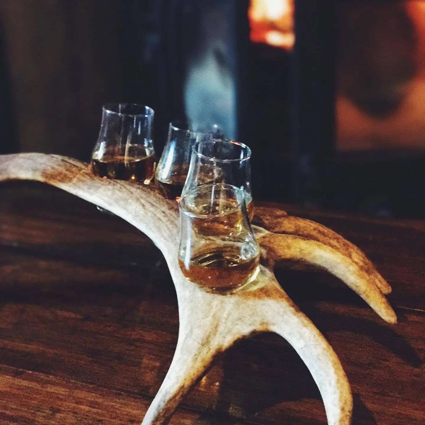 Antler Flight - Image 2